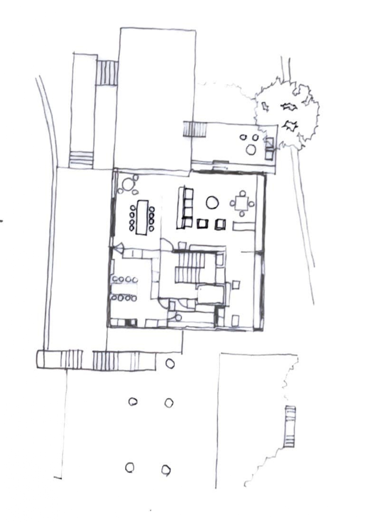Planta - Distribución espacial